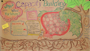 capacity-building