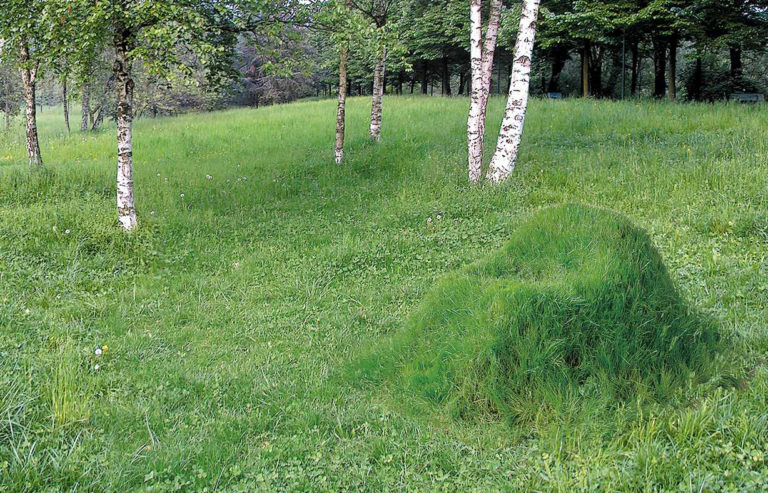 Una poltrona di terra ed erba.  Quando le sedute da giardino diventano paesaggio.