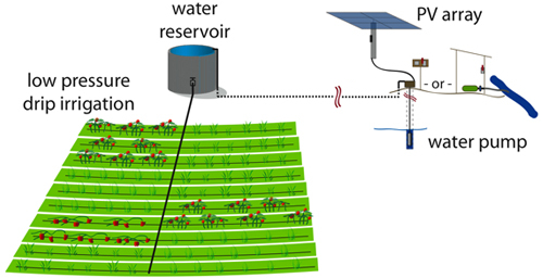 PVDI Irrigazione a goccia e pannelli solari