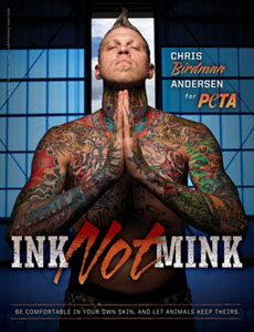 INK not MINK